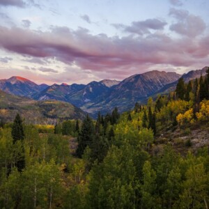 trees in forefront with changing colors and mountains in background with sunset